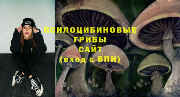 мескалин Богданович