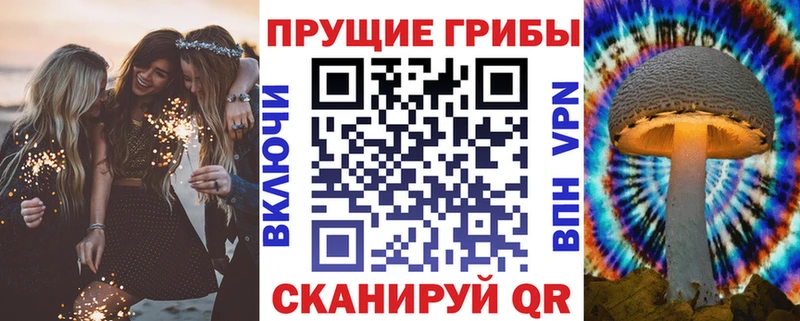 хочу   Омск  Галлюциногенные грибы Magic Shrooms 